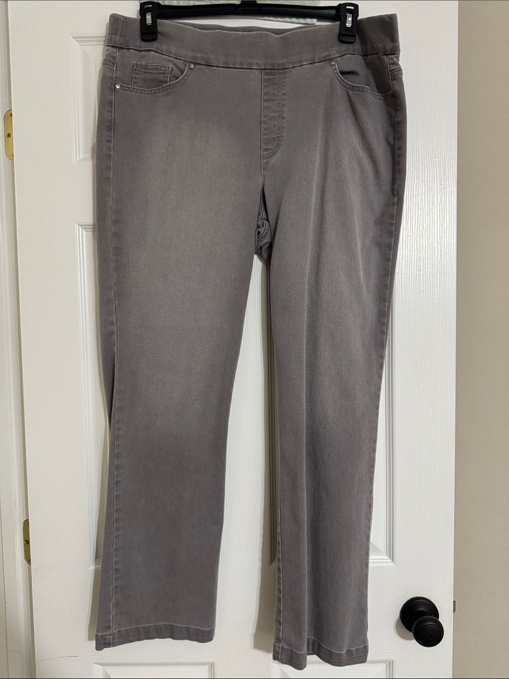 Gloria Vanderbilt Straight Leg Pull-On Jeans in Gray